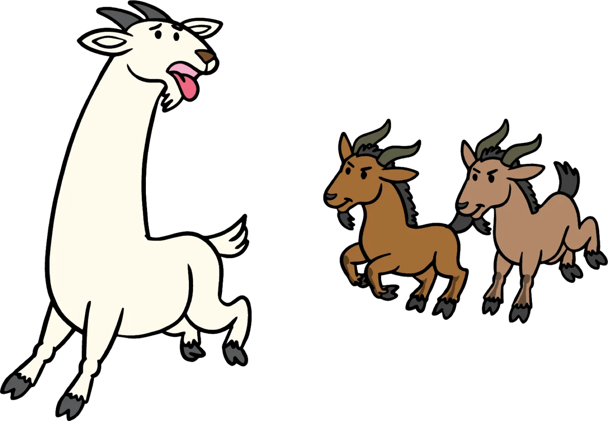 Becky strutting while two male goats chase after her